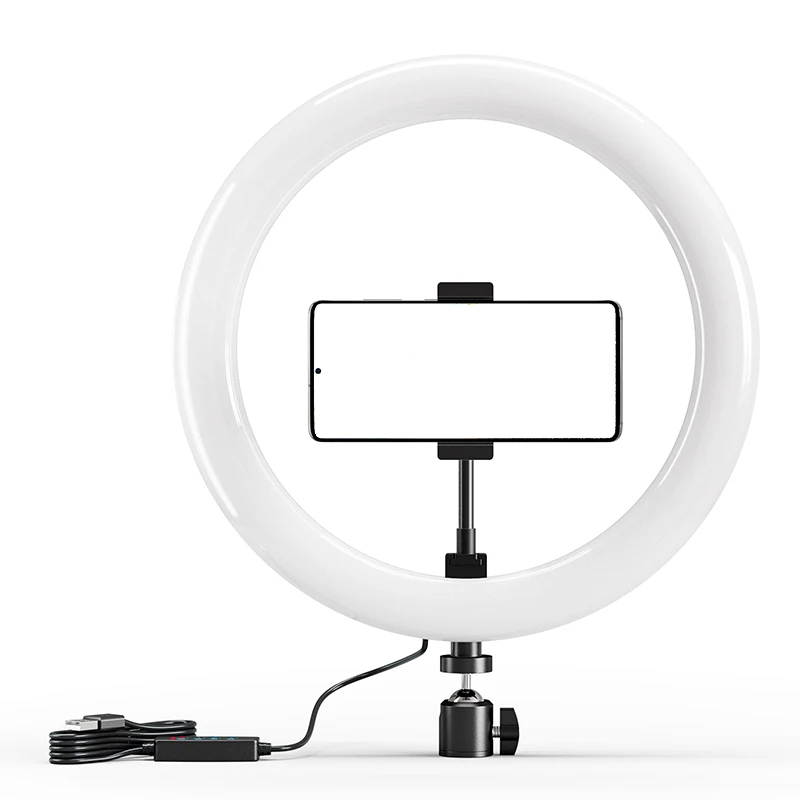Photography Lighting Styles - 10 インチ LED Selfie リングライトサークル補助光調光可能なラウンドランプ TK