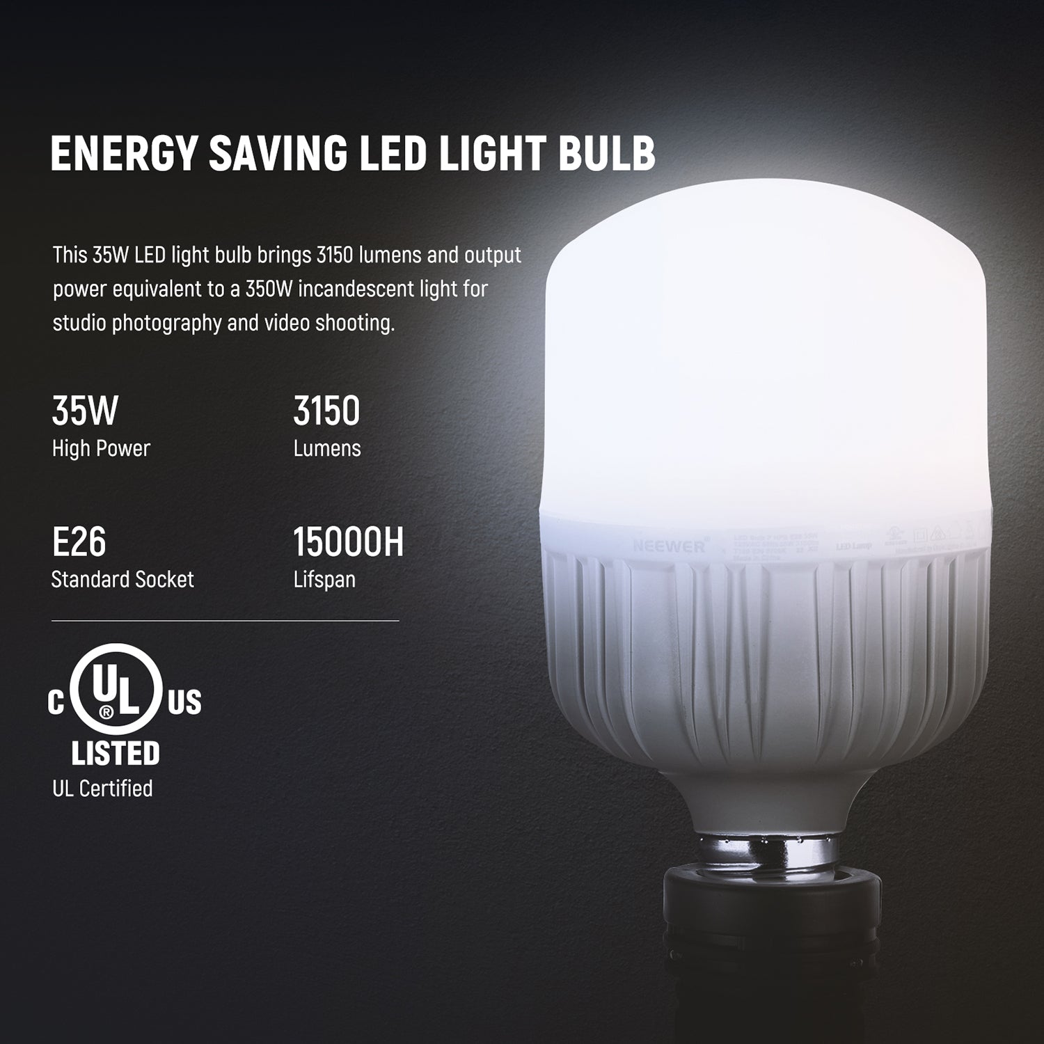 2025年製 Neewer 700W プロ仕様写真撮影用 2 - Photography Lighting Kit Neewer のレビューと価格