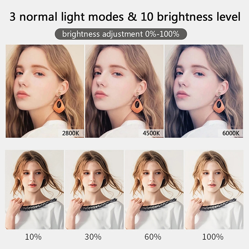 10 インチ LED Selfie リングライトサークル補助 - Photography Lighting Styles のレビューと価格